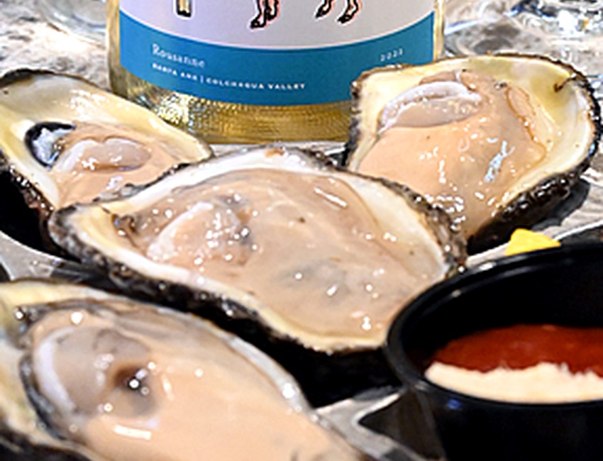Wine and oysters